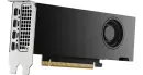 PNY RTX 2000 Ada Generation, 16GB GDDR6, 4x mDP